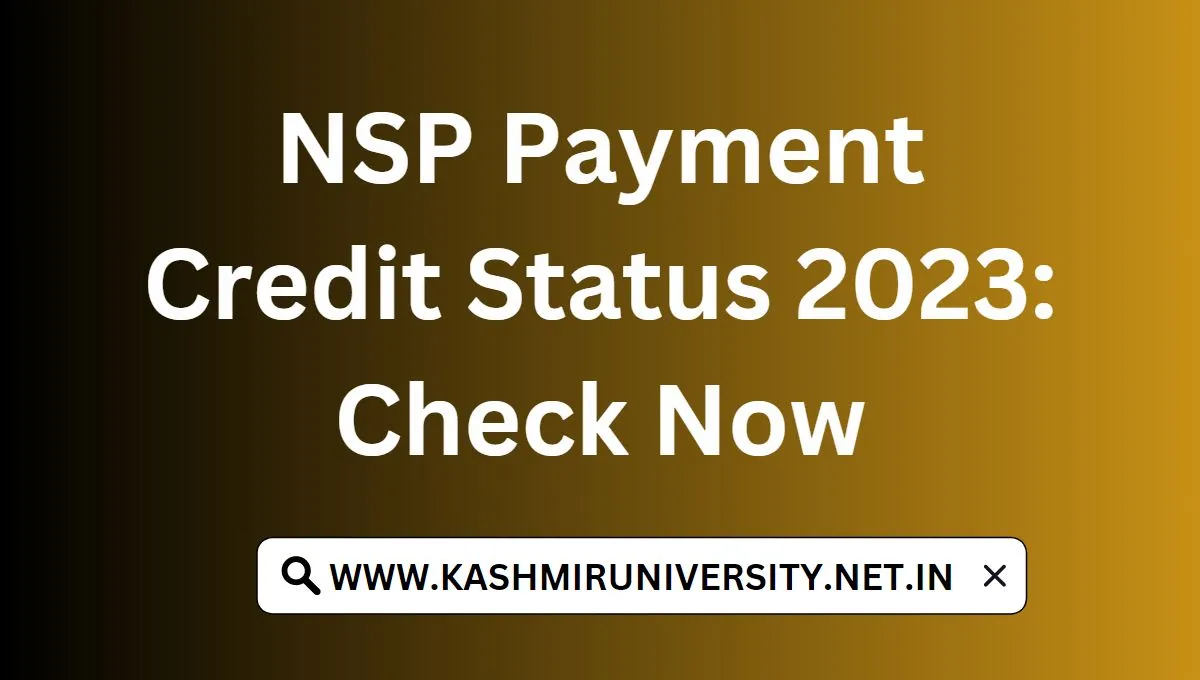 NSP Payment Credit Status 2023: Check Now